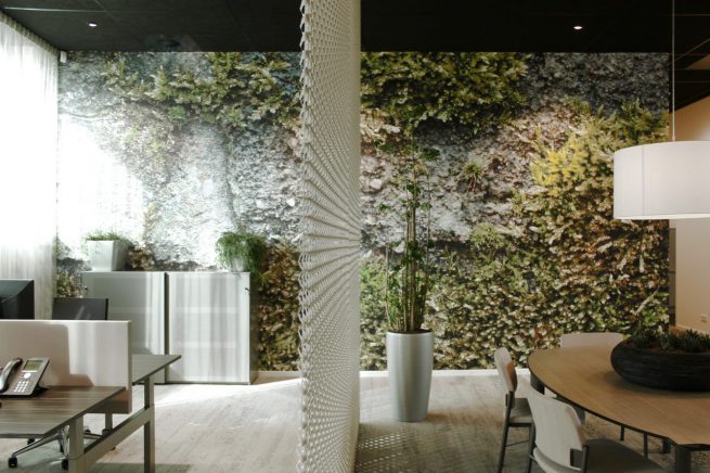 Flanderijn - Tilburg