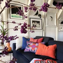 Mirror Selvedge - Terra en Teddy Selvedge - Classic blue