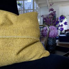 Teddy Selvedge - Ocre