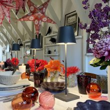 Collectie Poldina Pro oplaadbare tafellamp