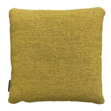 Teddy Selvedge - Ocre