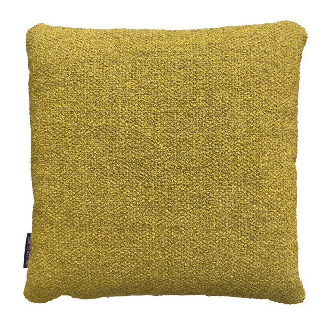 Teddy Selvedge - Ocre